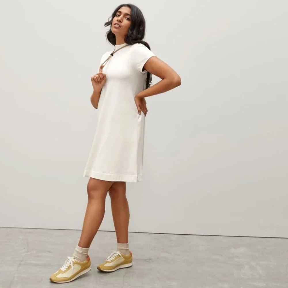Everlane Weekend Swing Dress